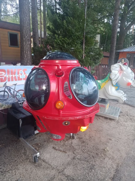 Bujak kapsuła UFO